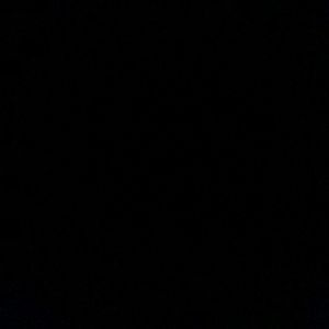 Meet your Posher, Jasper